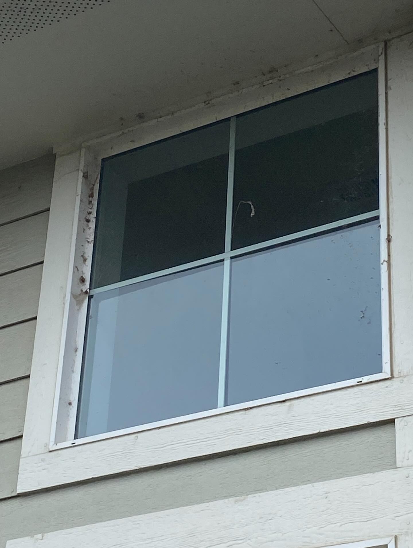 Upper-story window before and after hard water haze removal (before)